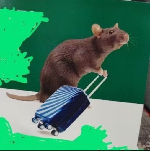 Rational Rat, GG33 reader